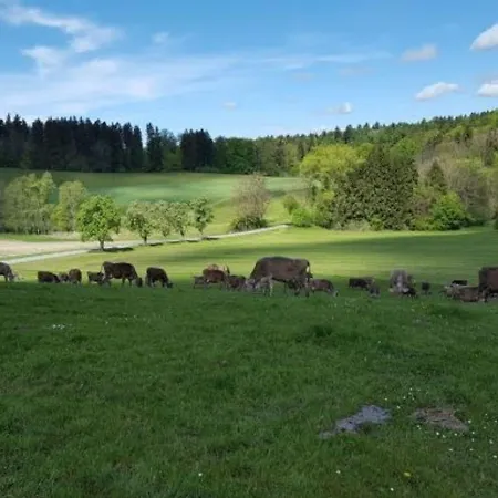Roesslerhof Lindele Lejlighed Schlier