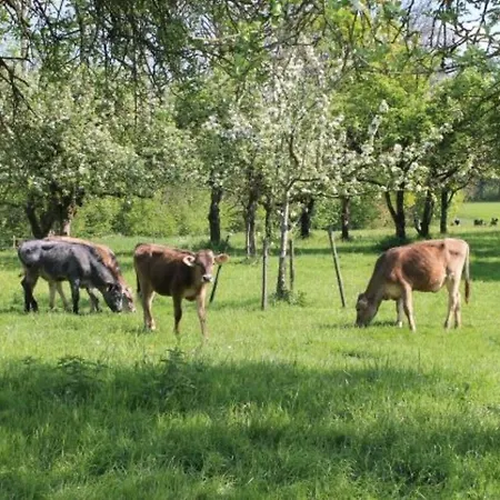 Lejlighed Roesslerhof Lindele Schlier